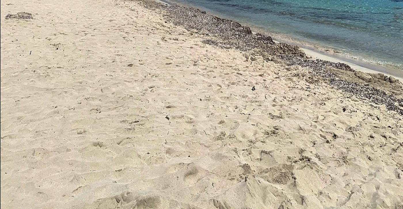 Landa Beach's wide golden sand between Nissi and Makronissos with umbrella rows and dune scrub behind